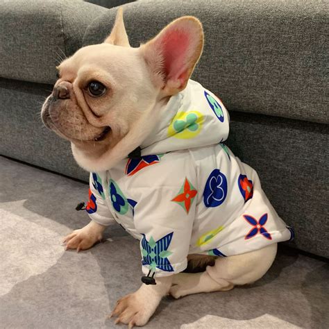 designer inspired dog shirts